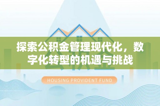 孟连探索公积金管理现代化，数字化转型的机遇与挑战