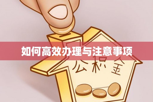 孟连如何高效办理与注意事项