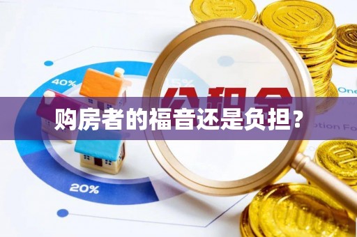 孟连购房者的福音还是负担？