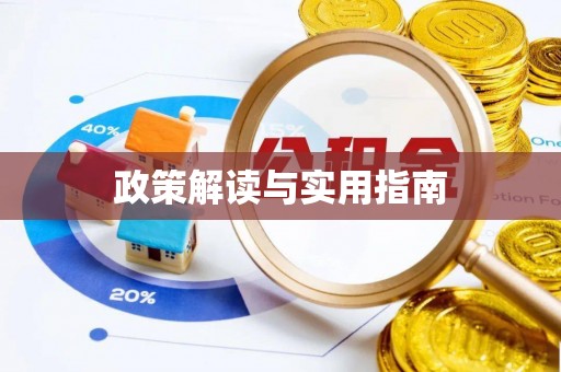 孟连政策解读与实用指南
