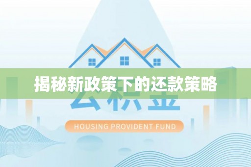 孟连揭秘新政策下的还款策略