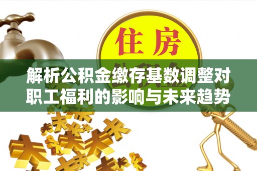 孟连解析公积金缴存基数调整对职工福利的影响与未来趋势