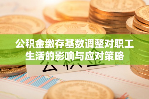 孟连公积金缴存基数调整对职工生活的影响与应对策略
