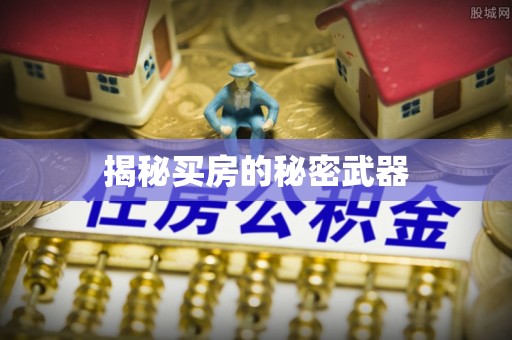 孟连揭秘买房的秘密武器