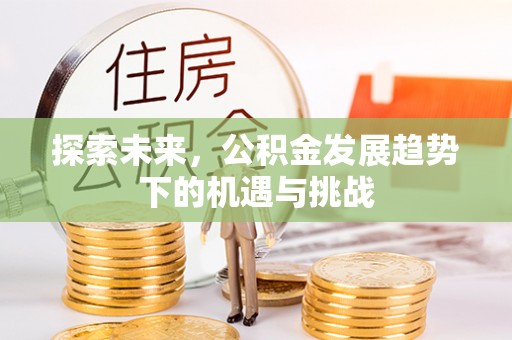 孟连探索未来，公积金发展趋势下的机遇与挑战