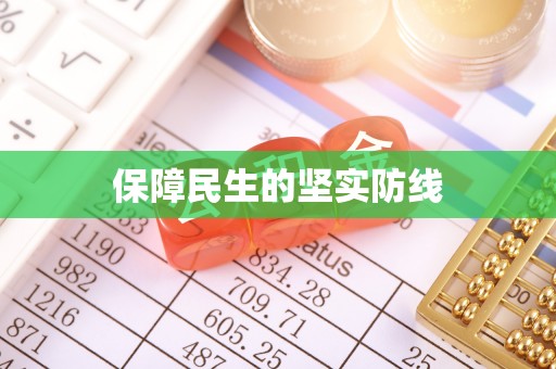 孟连保障民生的坚实防线