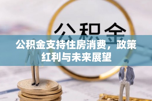 孟连公积金支持住房消费，政策红利与未来展望