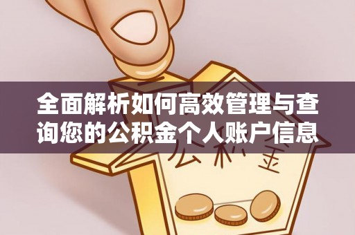 孟连全面解析如何高效管理与查询您的公积金个人账户信息