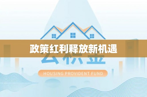 孟连政策红利释放新机遇