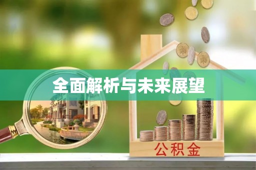孟连全面解析与未来展望