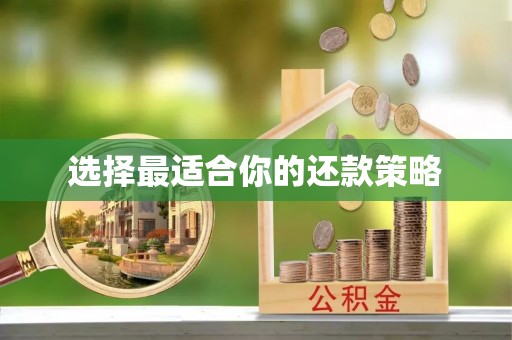 孟连选择最适合你的还款策略
