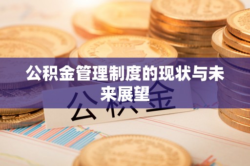 孟连公积金管理制度的现状与未来展望