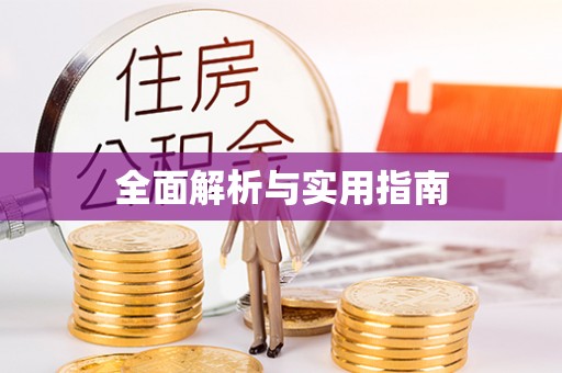 孟连全面解析与实用指南